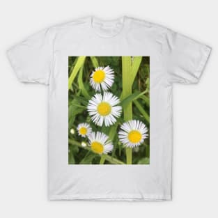 Tiny Wild Daisies 2 T-Shirt